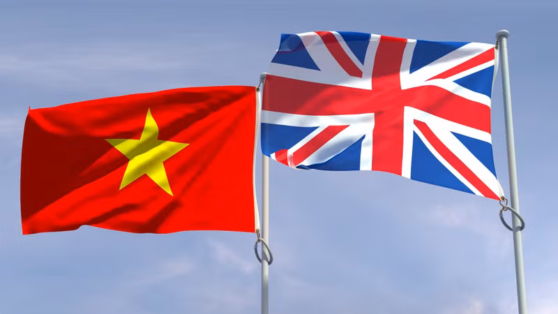 越英建交50周年：越南-英国战略伙伴关系【图表新闻】