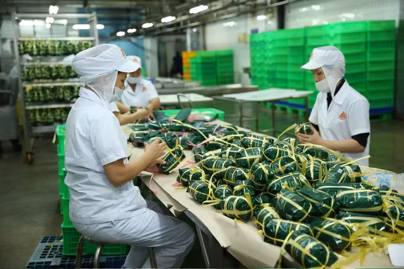 VISSAN的产品生产加工活动。