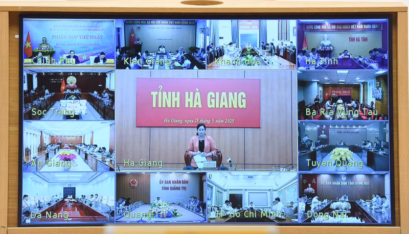 各地方领导以线上形式与会。