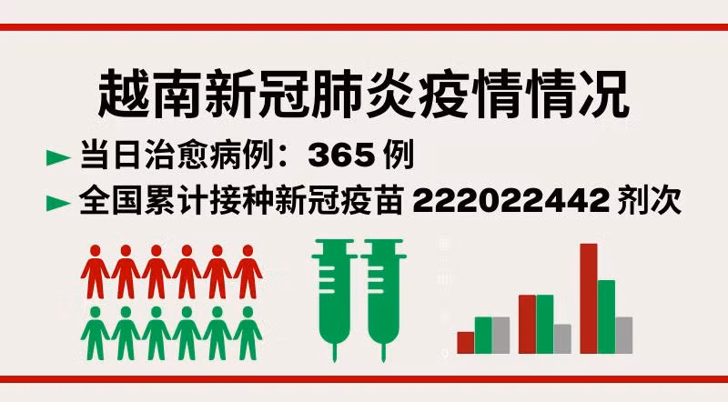 11月7日越南新增新冠确诊病例365例【图表新闻】