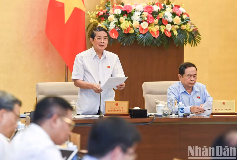 越南国会副主席阮德海发表讲话。