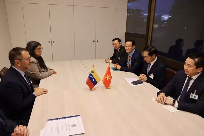 越南外交部长裴青山会见委内瑞拉外交部部长伊万·希尔。