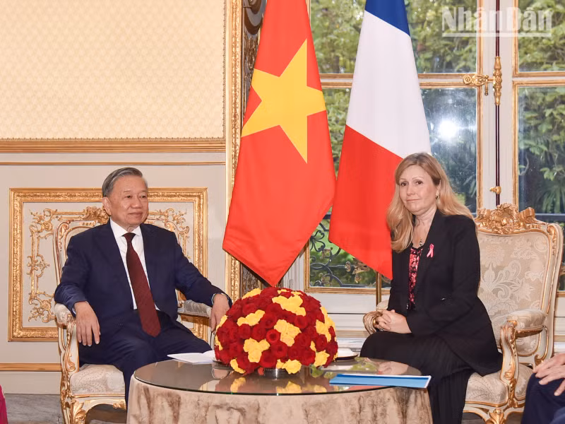 越共中央总书记、国家主席苏林会见法国国民议会议长娅埃尔·布朗·皮韦。