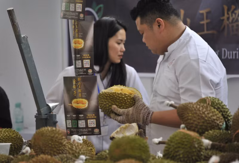 附图：越南榴莲在中国颇受欢迎。