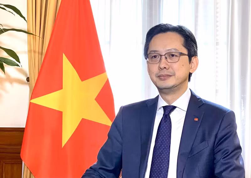 越南外交部副部长杜雄越。