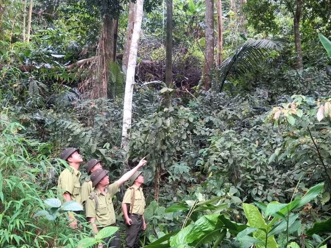 宣光省注重保护生物多样性和稀有动物。（图片来源：越通社）