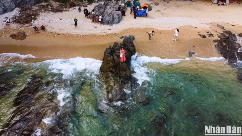 山茶半岛是吸引众多游客的旅游胜地,岘港市正集中开发这里许多独特类型的旅游潜力。 山茶半岛是吸引众多游客的旅游胜地,岘港市正集中开发这里许多独特类型的旅游潜力。