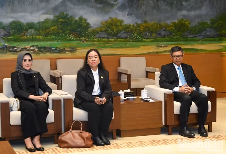 印度尼西亚参议院和印度尼西亚代表出席会见。