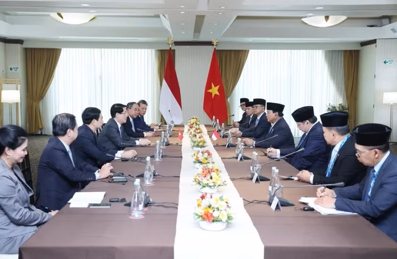越南国家主席梁强会见印度尼西亚总统拉博沃·苏比安托。（图片来源：越通社）