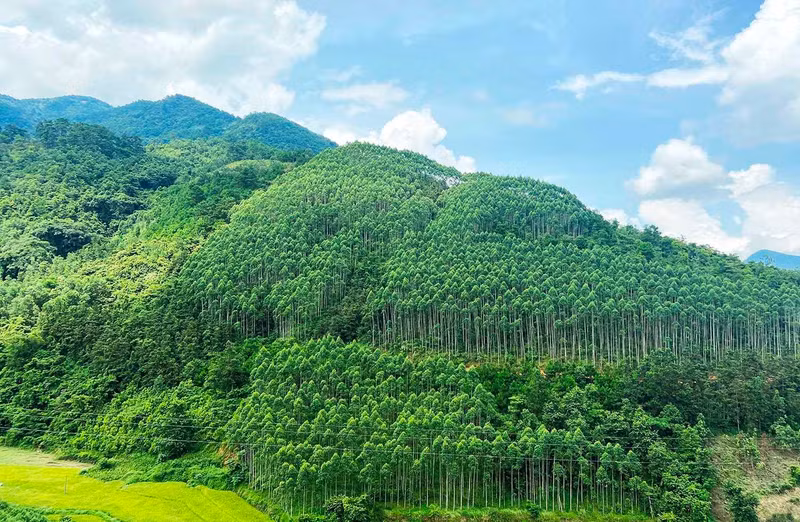 附图。