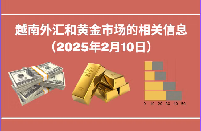 越南外汇和黄金市场的相关信息【图表新闻】