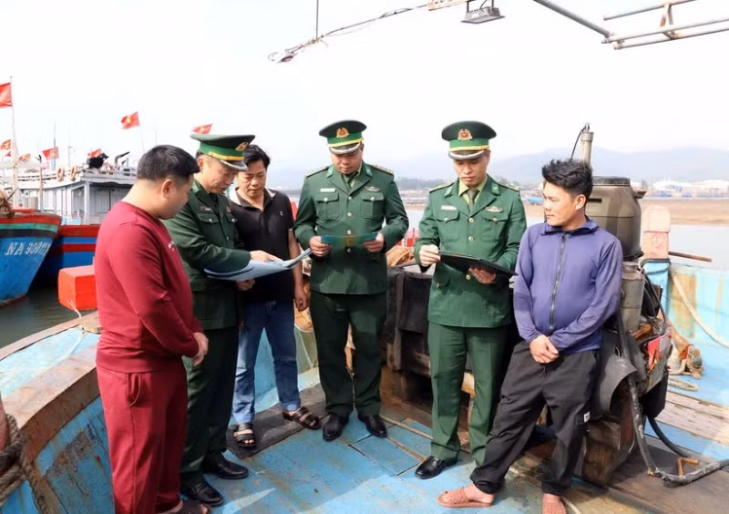 义安省加强监管防止渔船非法捕捞。