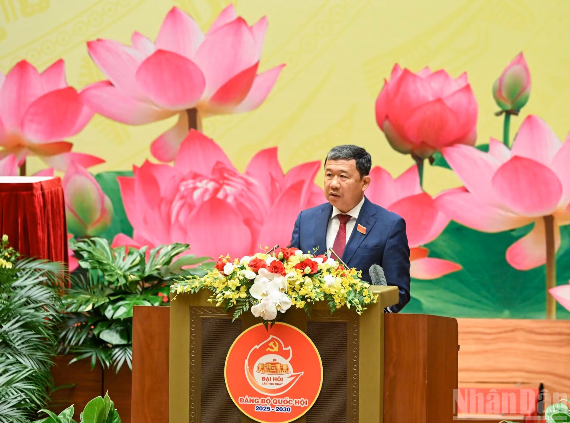 image-7.jpg