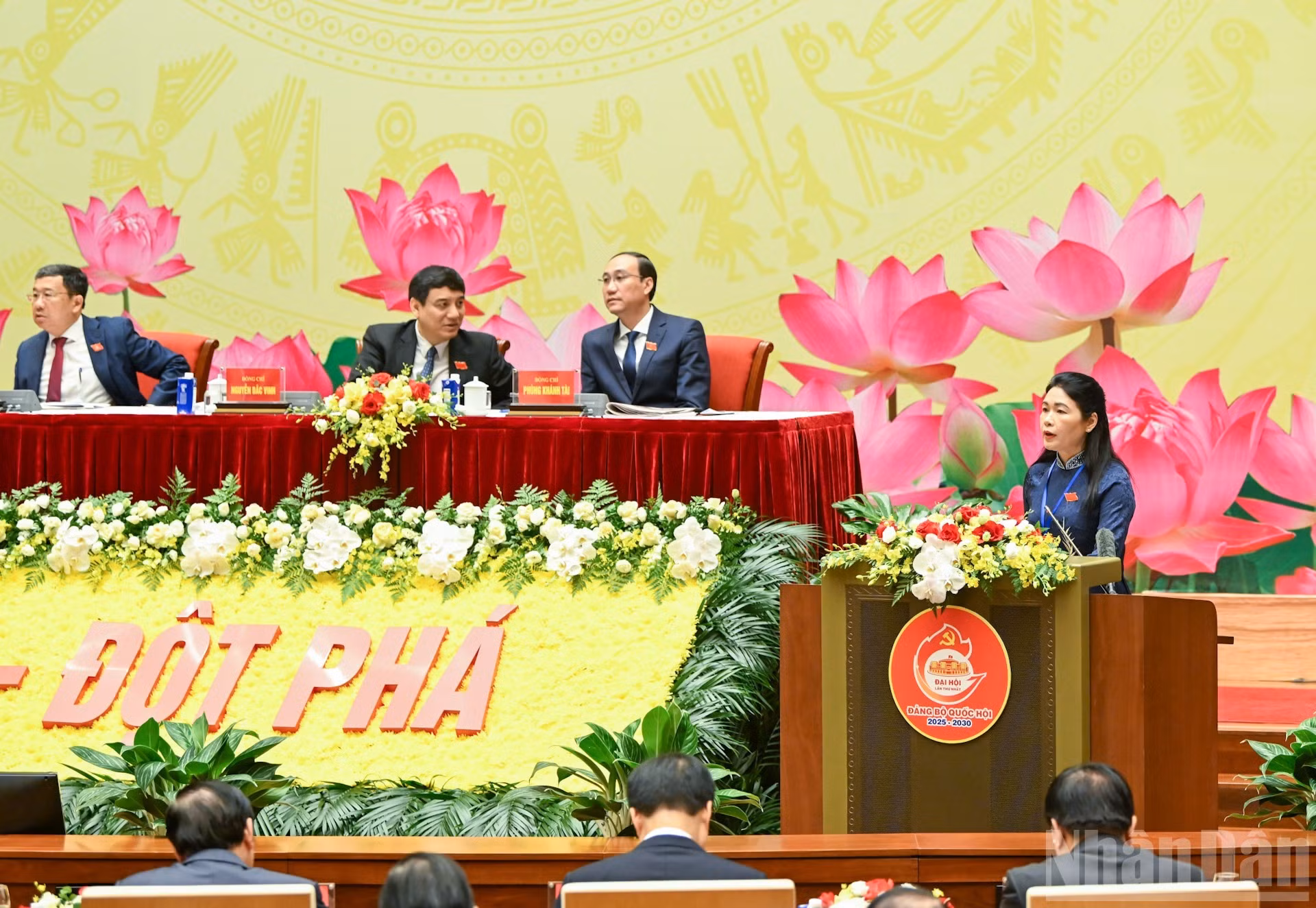 image-8.jpg