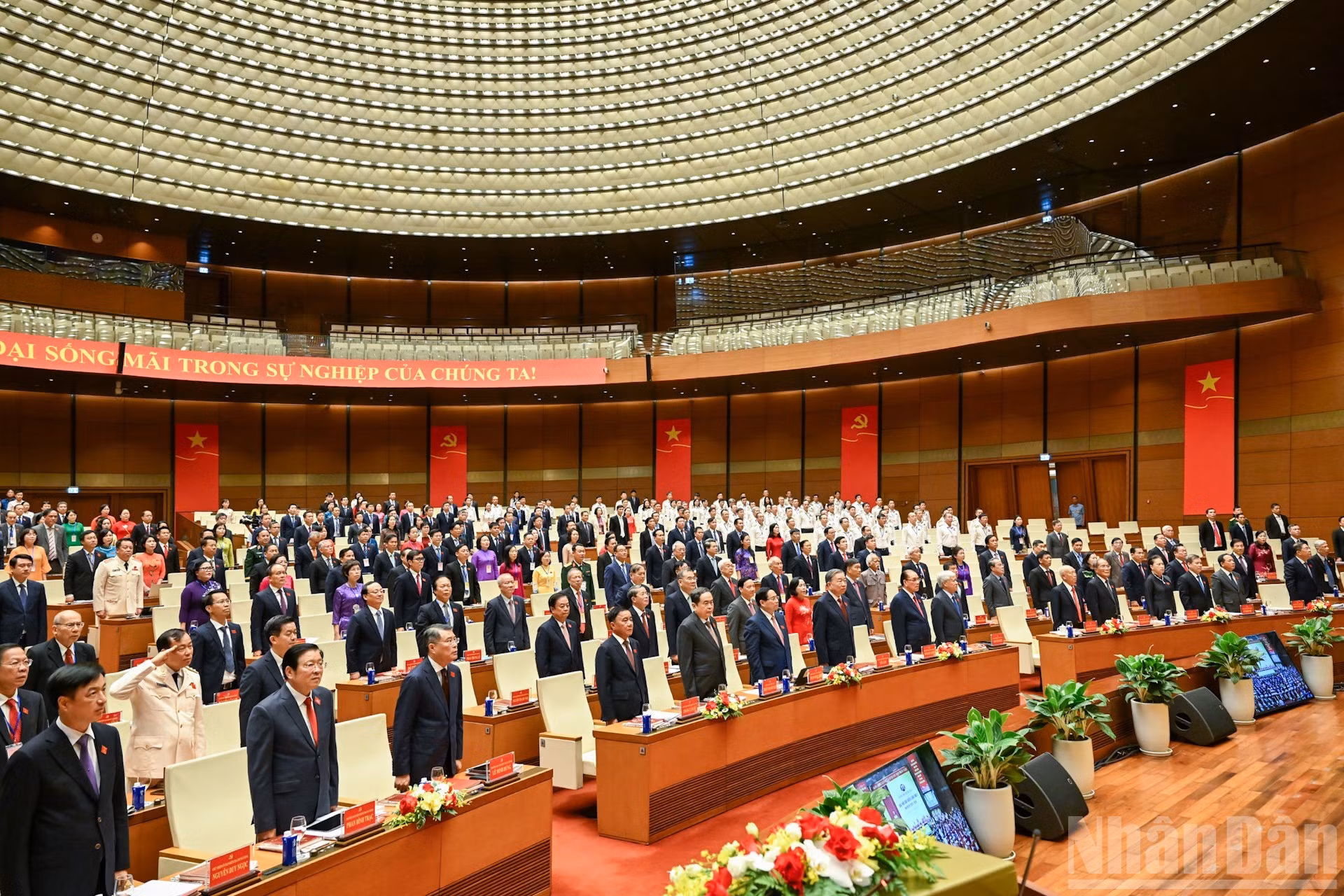 image-1.jpg