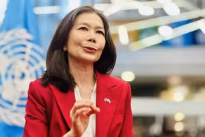 联合国驻越南常驻协调员宝琳·塔梅西斯接受越通社记者采访。（图片来源：越通社）