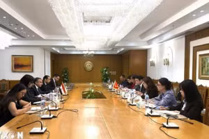 越南与埃及第十一次政治磋商会议场景。（图片来源：越通社）