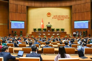 越南第十六届国会第一次非常规会议通过个人所得税和企业所得税减免30%决议。（维灵 摄）