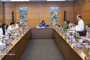 老街省和永隆省代表在分组讨论环节中。（图片来源：越通社）