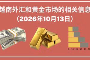 越南外汇和黄金市场的相关信息【图表新闻】