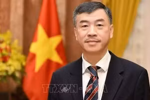 越南驻捷克大使杨怀南。（图片来源：越通社）