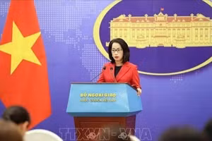 越南外交部发言人范秋姮。（图片来源：越通社）