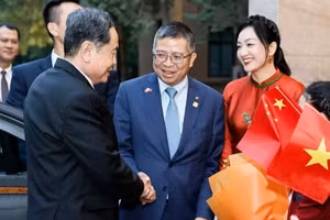 国会主席陈青敏在北京会见越南驻华大使馆工作人员和在华越南人代表。