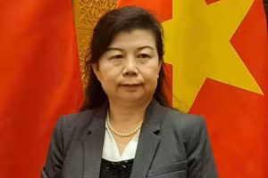 中国人民大学重阳金融研究院研究员刘英接受越通社驻中国记者采访。（图片来源：越通社）