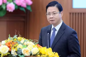 越南副外长吴黎文。（图片来源：越通社）