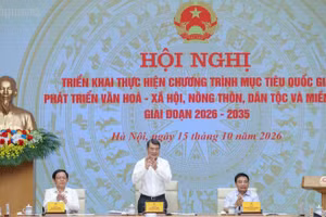 政府总理黎明兴主持会议。（图片来源：VGP）