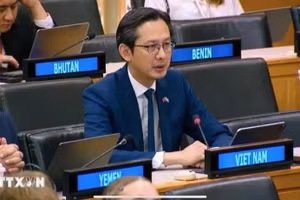 越南常驻联合国代表团团长杜雄越大使出席并发表讲话。（图片来源：越通社）