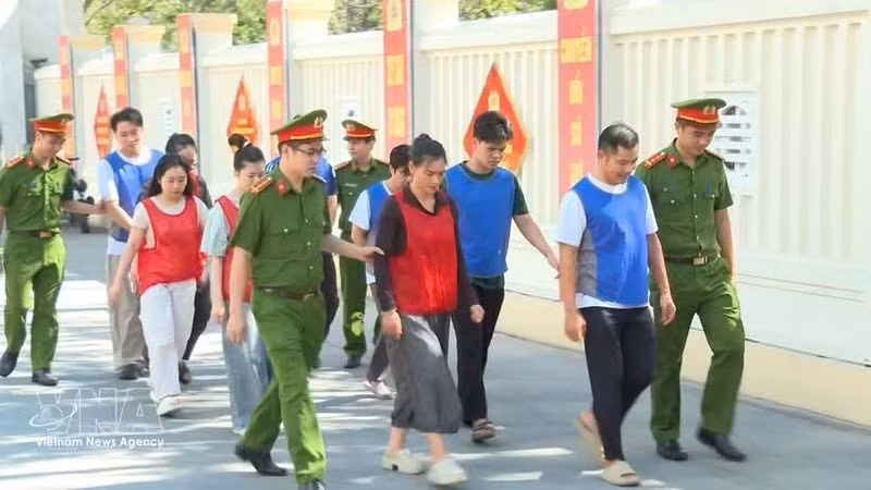 22名嫌疑人被立案侦查。