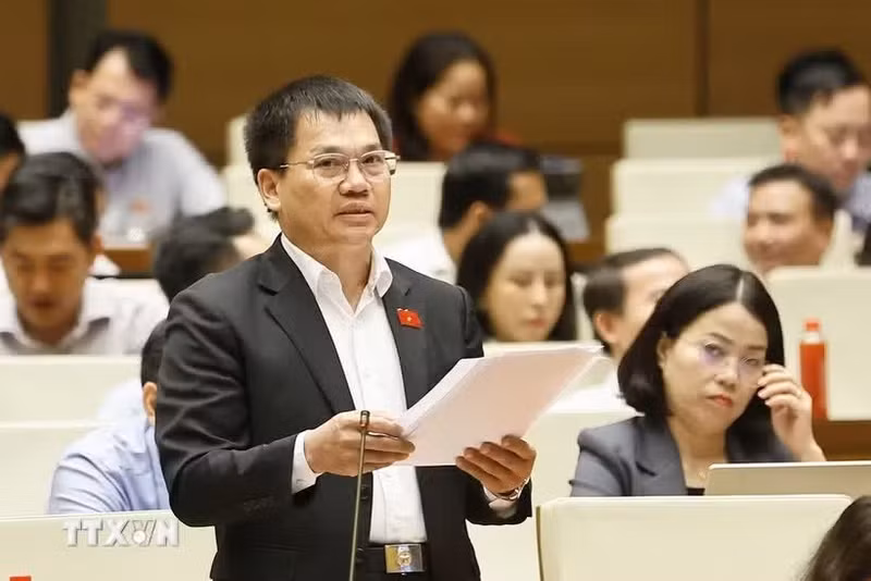 林同省代表杨克梅发表意见。（图片来源：越通社）