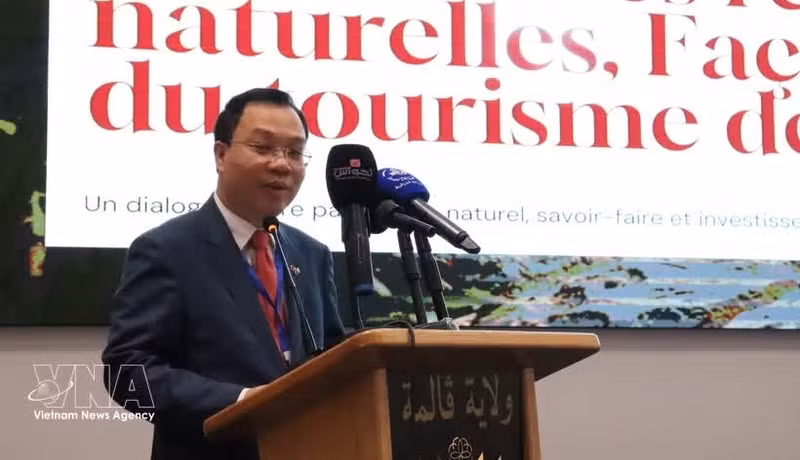 越南驻阿尔及利亚大使武维龙在会上发表讲话。（图片来源：越通社）