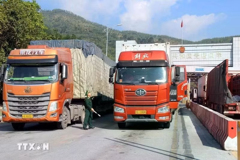 加快农产品出口通关手续办理速度。（图片来源：越通社）