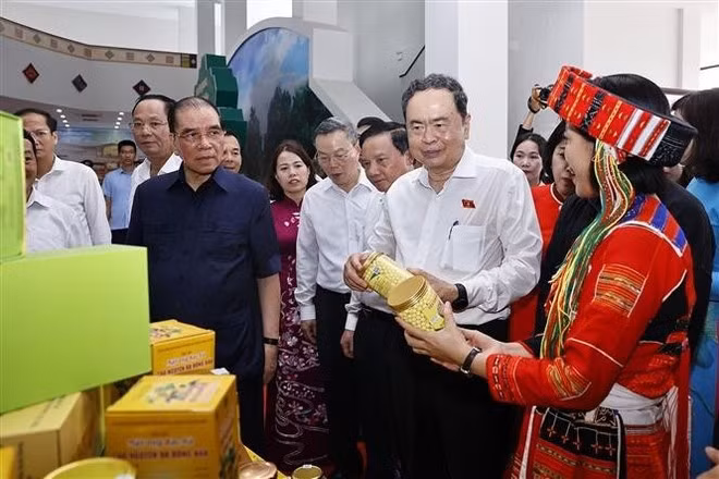 国会主席陈青敏和原越共中央总书记农德孟参观当地产品展会。（图片来源：越通社）