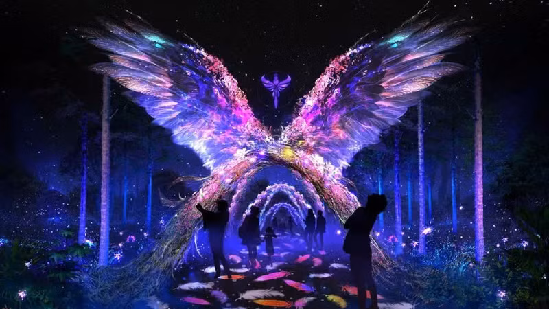 游客沉浸在越南首个花卉与艺术灯光主题公园梦幻迷离的光影世界之中。 