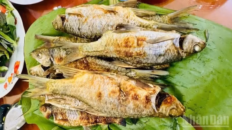 157lamon2.jpg