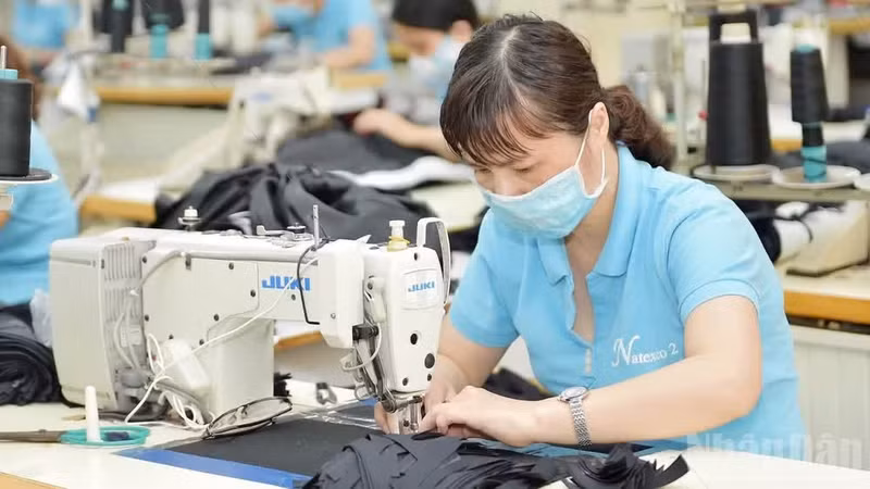 南定纺织服装股份总公司的纺织服装生产活动。