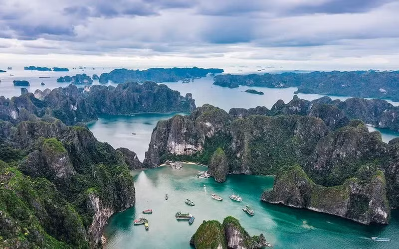 法国《巴黎人报》评价称，越南以壮丽的自然风光、悠久的文化遗产以及极具吸引力的美食文化闻名于世。