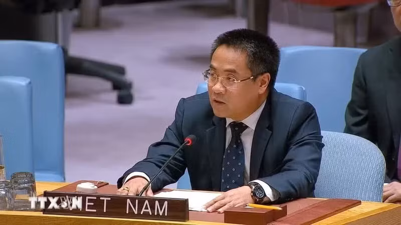 越南常驻联合国代表团副团长阮海流公使。（图片来源：越通社）
