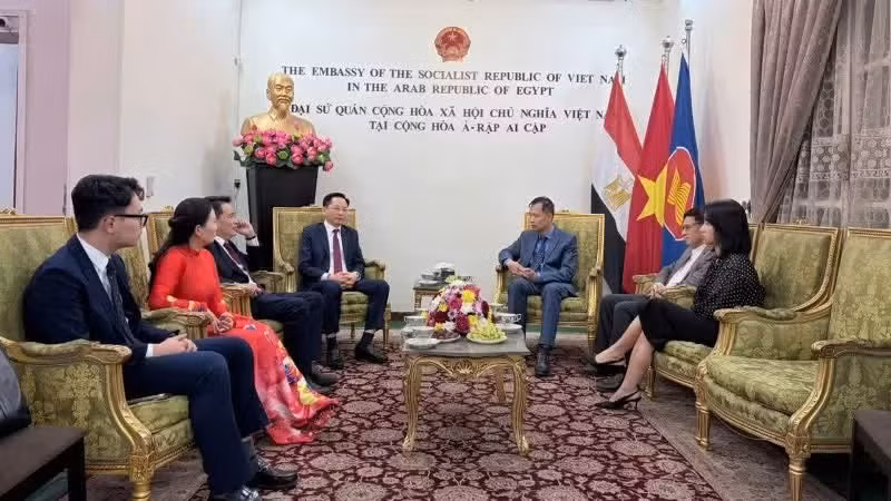 越南化工集团代表团到访越南驻埃及大使馆。