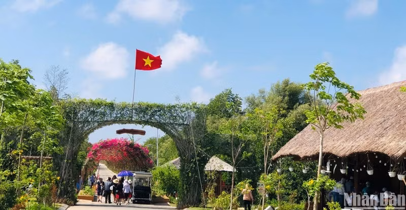 众多游客热衷于在和平-薄辽风力发电工程体验的旅游项目。