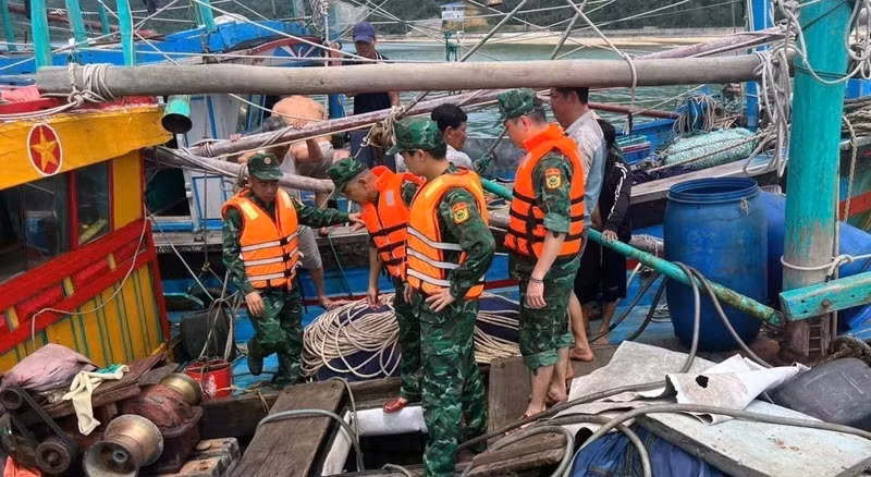 越方边防部队及时营救在海上遇险的外国船员和渔民。（图片来源：越通社）