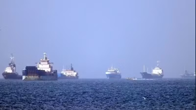 船只在霍尔木兹海峡航行。（图片来源：新华社/越通社）
