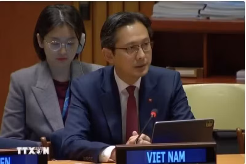 越南常驻联合国代表团团长杜雄越大使在会上发言。（图片来源：越通社）