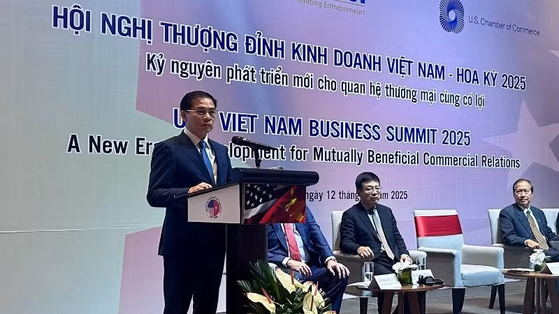 越南政府副总理裴青山在会上发言。