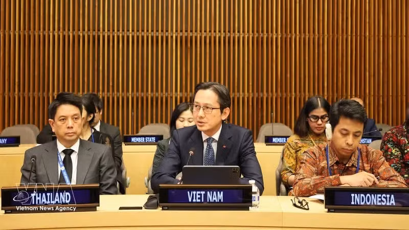 越南常驻联合国代表团团长杜雄越大使在启动仪式上发表讲话。