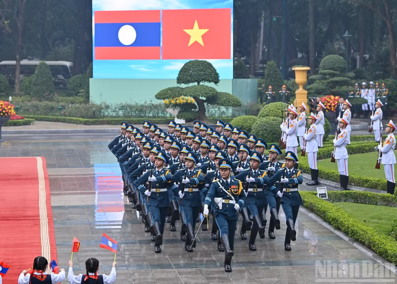2616.jpg