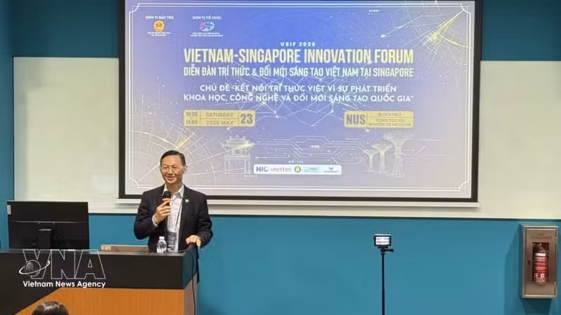 越南驻新加坡大使陈福英在论坛上发言。（图片来源：越通社）